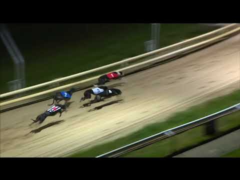 Ballymac Miscula - Coral Brighton Belle - 2nd Semi-Final