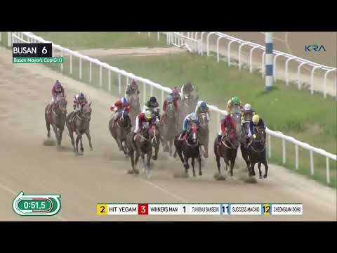 (Busan) 2022.06.26 R6 Busan Mayor's Cup (1800M KOR-G2)