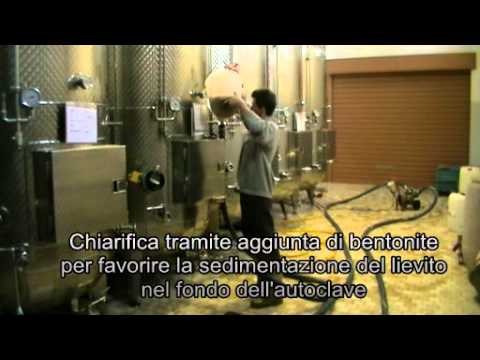 download lagu mp3 mp4 Martinotti Charmat, download lagu Martinotti Charmat gratis, unduh video klip Martinotti Charmat