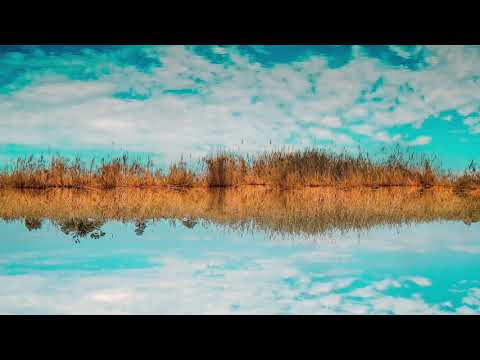 Fine Tuning Your Manifestations