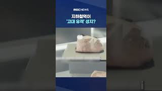 지하철역이 '고대 유적' 성지?‥관광 명소 부상 #Shorts (MBC뉴스)