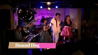 Hound Dog