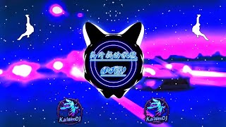 Download lagu 离开我的依赖 - (王艳薇) (DJ铁柱) Líkāi wǒ de yīlài (DJ抖音版) mp3