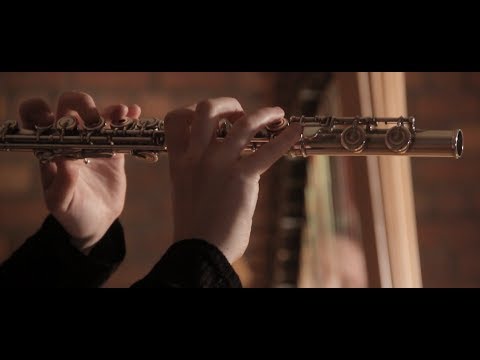 Meridiem Duo | Adrian Shaposhnikov- I. Andante con moto, Allegro non troppo