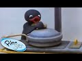 Pingu As A Chef Pingu Official Channel