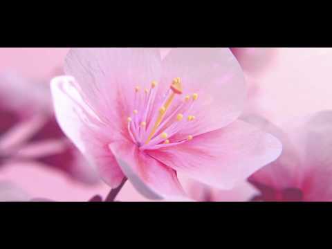 Energiereich Glücklich - das TagesOrakel von Malkiel  für den 20.1.20- Mondpausen - Tarot