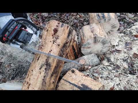 Kettensäge Chain saw  Greencut GS 7500 Probeschnitte/einfahren