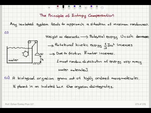 Week 11-5 The Principle of Entropy Compensation
