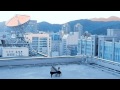 Wanting 曲婉婷- 爱的海洋(Love Ocean) (Official Music ...