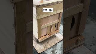 蜂1日目 出入口少し開け #いちご #農協 #蜂