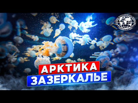 Арктика. Зазеркалье  | @rgo_films