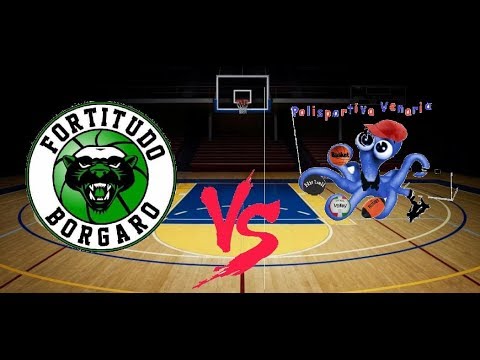 ( Stagione 2018-2019 ) Fortitudo Borgaro -  Venaria  96-46   [1a fase]