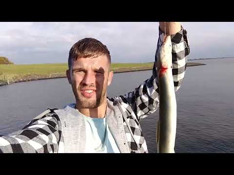 Aale Tag und Nacht   Aal bei Tag & Aal bei Nacht S2 F6#angeln #fishing #aal #eel #fishingvideo #bigs