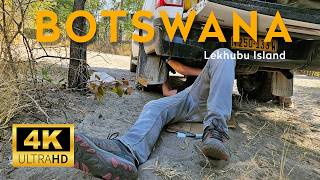 🇧🇼 BOTSWANA 2026 (2) Zambietiški veržliarakčiai ir slapta sala #botswana #africa #makgadikgadi #kubu