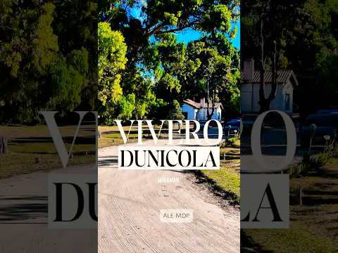 🔥Febrero 2026 🚘Paseo en Vivero Dunícola en MIRAMAR Gral. Alvarado con muchos caballitos 🐎