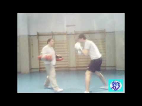 Diaa El Din Chadi KickBoxer