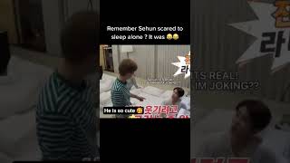 Download lagu Remember when Sehun scared to sleep alone, #suho #baekhyun #sehun #exo #chanyeol #kyungsoo #kai mp3 Download lagu Remember when Sehun scared to sleep alone, #suho #baekhyun #sehun #exo #chanyeol #kyungsoo #kai mp3