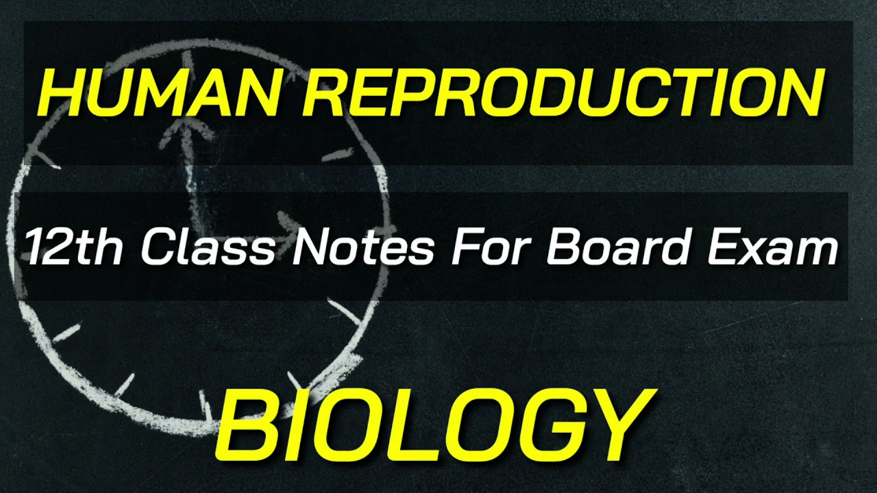 12th BIOLOGY: HUMAN REPRODUCTION PDF NOTES / Free download PDF Human Reproduction