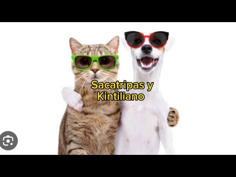 Aquí están los virales del mes del mesmisemo sacatripas y sus ecuases ! Ey