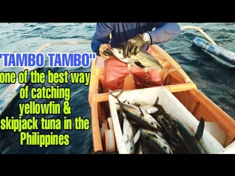 Day2 part1 in Palawan | "Tambo Tambo " one of the best way of catching yellowfin & skipjack tuna