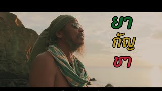 ยากัญชา – จ๊อบ บรรจบ