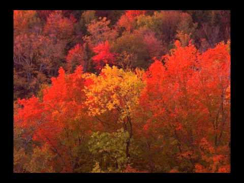 Aleksandrs Kublinskis - Kamēr Vari Tikmēr Dari (197x)