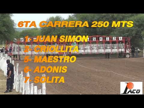 MAESTRO HIPODROMO PANGARE CRUZ DEL EJE 24 04 2022