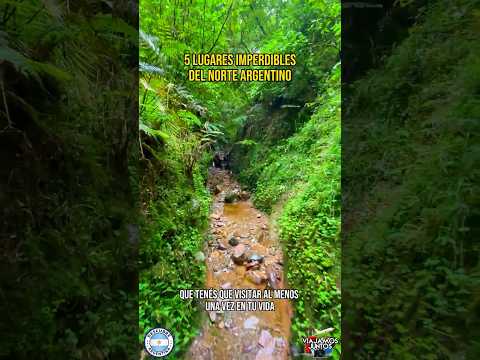 Estos 5 lugares del Norte te van a dejar sin palabras 🤯 #argentina #turismo #naturaleza