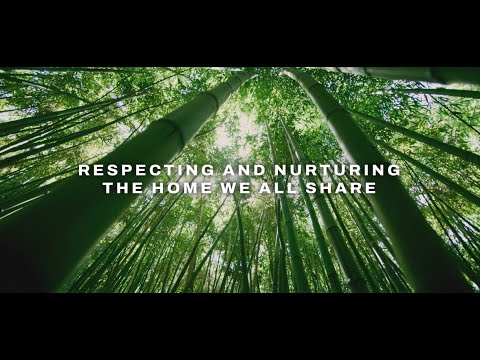 Sustainability in Shipping