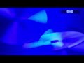 Opening To The Wiggles Lights Camera Action 2005 DVD