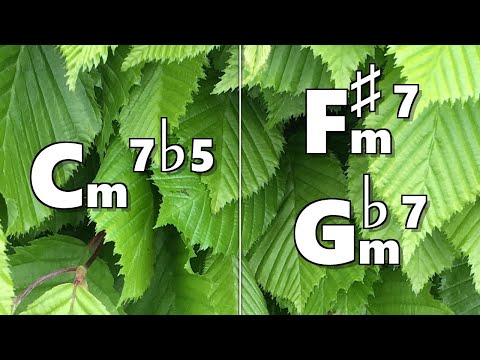 Cm7b5 to Gbm7 (F#7) Backing Track