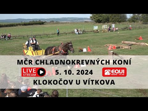 ŽIVĚ 🔴 | mistrovství ČR chladnokrevných koní Klokočov (jednospřeží) – 5. 10. 2024