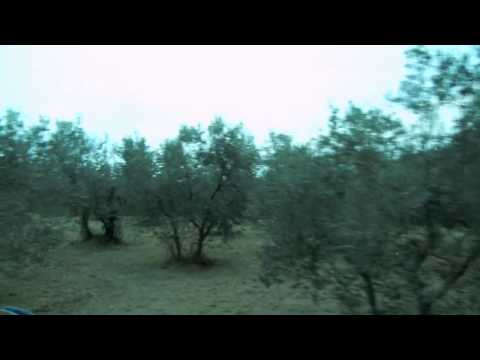 Certosa del Galluzzo monastery on hillside just south of Florence, Italy. DSCN0801 HHT1011