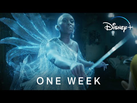 私たち家族プラス・ユアーズ｜ディズニー＋の日｜ディズニー＋（ディズニープラス (Our Family Plus Yours | Disney+ Day | Disney+)