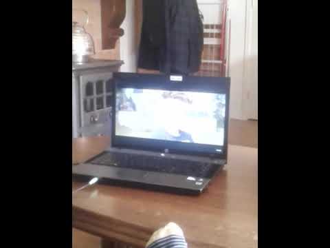 Beste muziek
