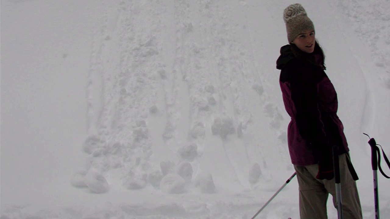 What is integrated NGSS? Why should we do it?