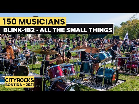 All the small things (BLINK-182) - 150 musicians @CITYROCKS (The biggest rock flashmob in Romania)