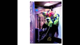 Cover art for JUST ARTIST STRUGGLES