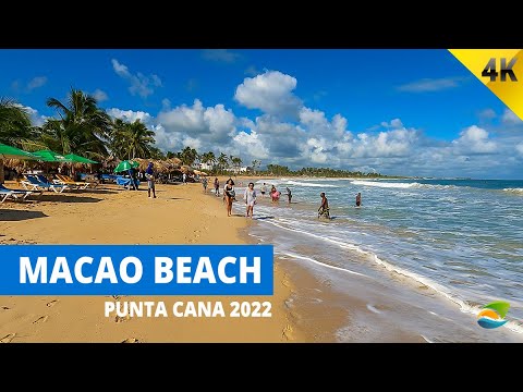 Dreams Macao Beach Punta Cana 2022 - Hotel, Beach, Seaweeds, Waves and Surfing