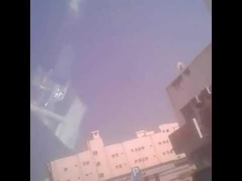 እስክስ   አቦ ብትን እንበል ኑ