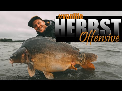 Vanlife Karpfenangeln in Frankreich inkl. Q&A von Euch Herbstoffensive Carpfishing Angeln Karpfen