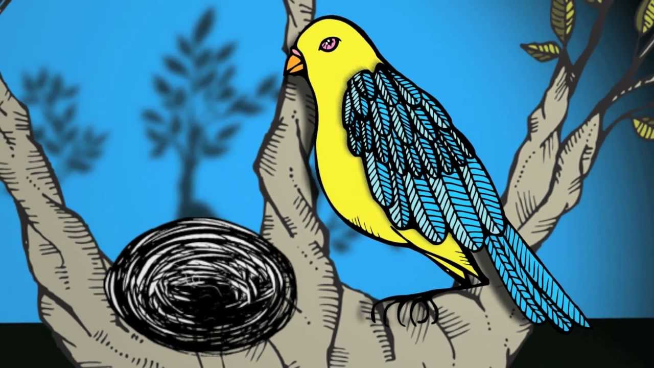 Direitos Humanos CRP