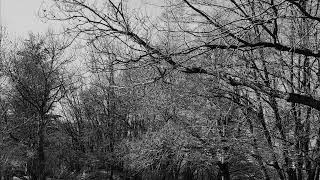 Eufori - Höstdepressioner (Lifelover cover)