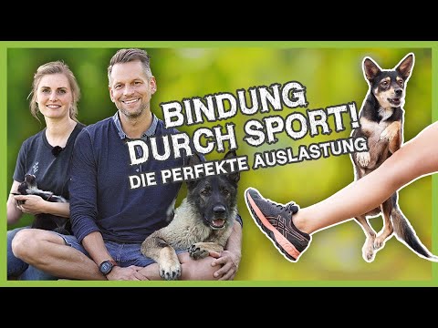 Perfekte Auslastung in 15 Minuten! BINDUNG durch SPORT