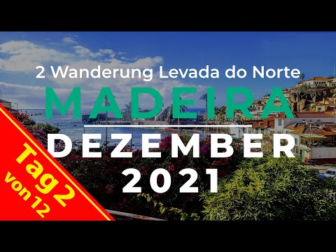 Madeira Reise 2021 - Tag 2 - Wanderung Levada do Norte & Skywalk