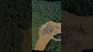 Download lagu Hundreds of Giant Anacondas Discovered in Amazon River | Military Surveillance Footage Shocks mp3