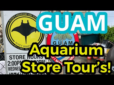 GUAM🇬🇺VÁRIOS PASSEIOS EM LOJA DE PEIXE