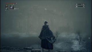 [息抜き]人形ちゃんコスで、vsマリア様[Bloodborne]