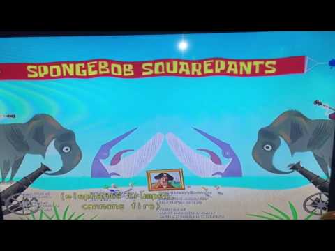 Dolphin V.S seagulls