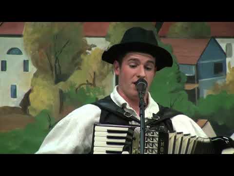 Ansambel Zagorje express - Zagorski cug (v živo)